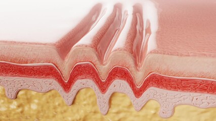 Essence, gel repair wrinkles, skin repair, facial mask reduces facial wrinkles, supports sunken skin, moisturizes, activates deep cells, concept skin care beauty. Cosmetics advertising, 3D animation.