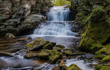 small waterfall in the forest