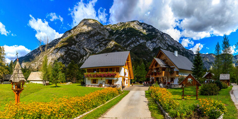 village in the alps