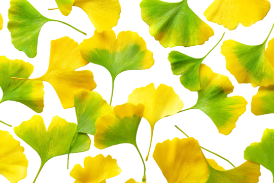 Ginkgo biloba leaves seamless pattern. Autumn foliage background.