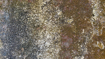 Close up of an old wall surface textured with moss and lichen growth on, creating a natural grunge...