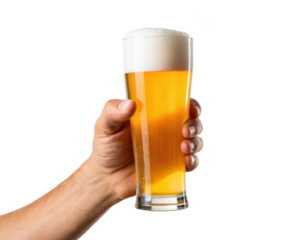 male hand holding glass of lager foamy beer isolated on a transparent background