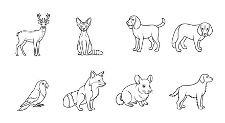 Illustrations of various animals including a deer, cat, dogs, parrot, fox and chinchilla line art