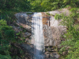 waterfall in the forest
