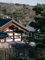 buddhist temple in korea