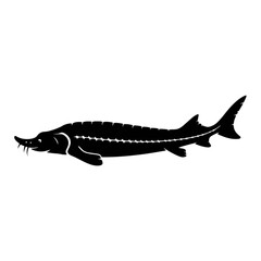 Obraz premium Ancient Sturgeon Fish Outline silhouette aquatic