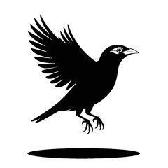 Obraz premium Bird in flight silhouette flying wings