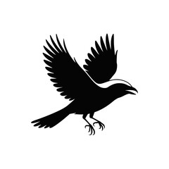 Obraz premium Bird in flight silhouette flying wings spread