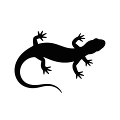 Black Gecko Silhouette lizard reptile
