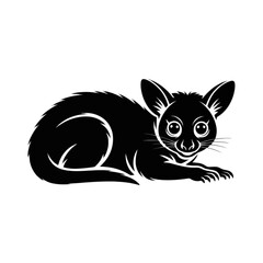 Fennec Fox Resting animal desert animal