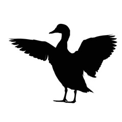 Obraz premium Goose with Wings Spread Wide bird animal