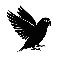 Obraz premium Parrot in Flight bird flying