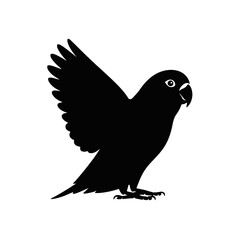 Obraz premium Parrot with open wings bird silhouette