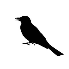Obraz premium Perched Songbird Silhouette avian