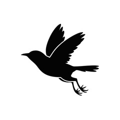 Obraz premium Small bird in flight flying wings