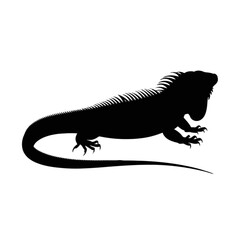 Obraz premium Spiky Lizard Silhouette iguana reptile