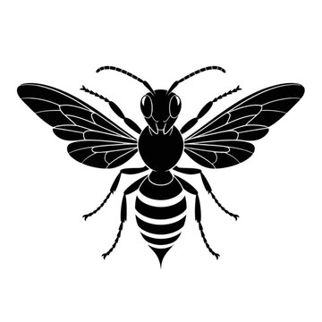 black wasp wings spread white background clip art preview
