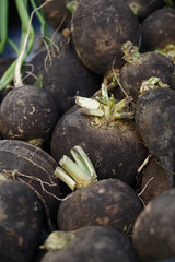 Fresh black radishes piled at local market on sunny day