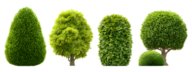 A collection of four precisely shaped and manicured topiary plants in various geometric forms showcasing the beauty and precision of ornamental gardening