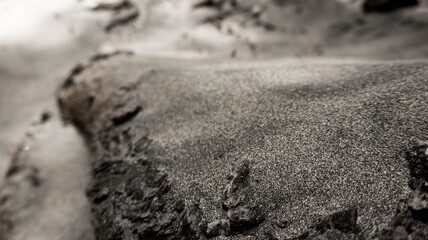 stone on the beach