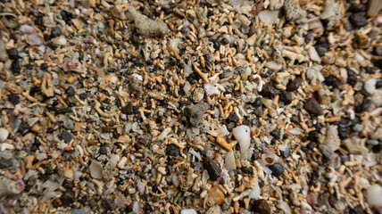 texture of dry grass