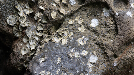 Beach stone texture