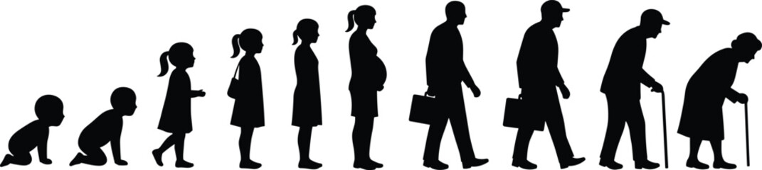Silhouette illustration showing human life stages from crawling baby to elderly age, representing aging process, growth, development, time, evolution
