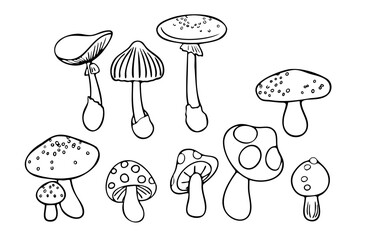 イラスト素材・キノコのモノクロ線画セット