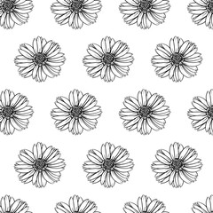 Coreopsis flower Seamless Pattern Hand drawn vector line art, Black and White Flower isolated in white. Beautiful design for textile, wallpaper, wrapping paper
