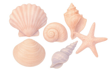 Obraz premium Watercolor seashells and starfish arranged on a transparent background, evoking a serene beach atmosphere