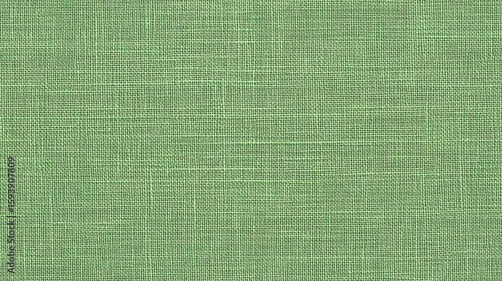 Poster close-up of minimalist plain weave fabric texture in soft pea green with detailed vertical lines, se
