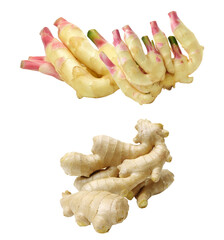 'fresh ginger and young ginger isolated on transparent background'