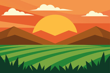 Fototapeta premium Rice Fields at Sunset with Hills in Background