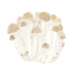 きのこのやさしいふんわりイラスト