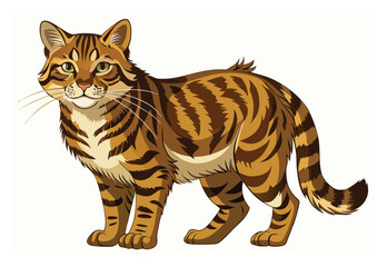 Scottish wildcat clipart elements wild feline drawing vector art for nature and animal