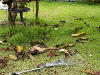 The garden at home has not been cleaned.