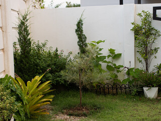 The garden at home has not been cleaned.
