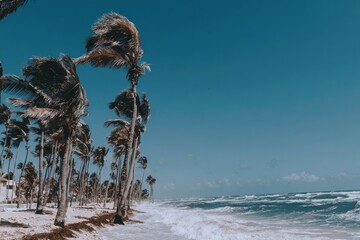 Tropical beach in strong winds