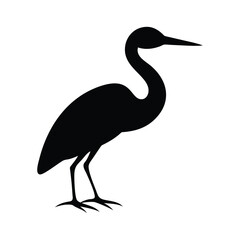 Black silhouette of a heron standing on white background