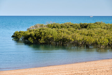 Walk along the Dampier Creek - Broome, WA, Australia