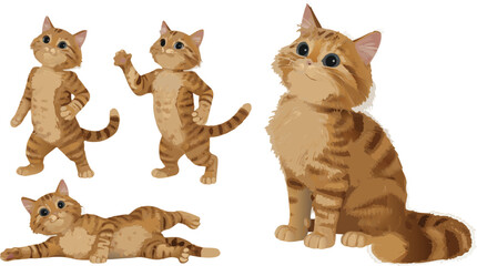 Animated Ginger Tabby Cat Characters Posing, Sitting, Standing, and Lying Down on White Background