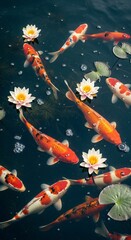 A vibrant group of Koi fish swim gracefully in a dark pond, interspersed with white water lilies and lily pads.