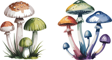 Watercolor Mushroom Illustration Two Clusters of Colorful Fungi, White Background, Artistic Flora