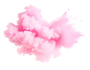 Fototapeta premium Pink Smoke Bomb for Gender Reveal Concept