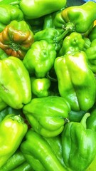 green bell peppers(Capsicum annum)