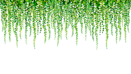 green grass background