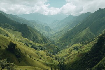 Lush valley nestled amongst towering green mountains