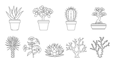 Line art illustration featuring various potted plants and desert flora arrangements displayed together
