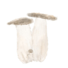 ふんわり優しいきのこイラスト