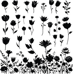 Collection of various black flower vector  silhouettes including tulips roses and daisies in a botanical arrangement